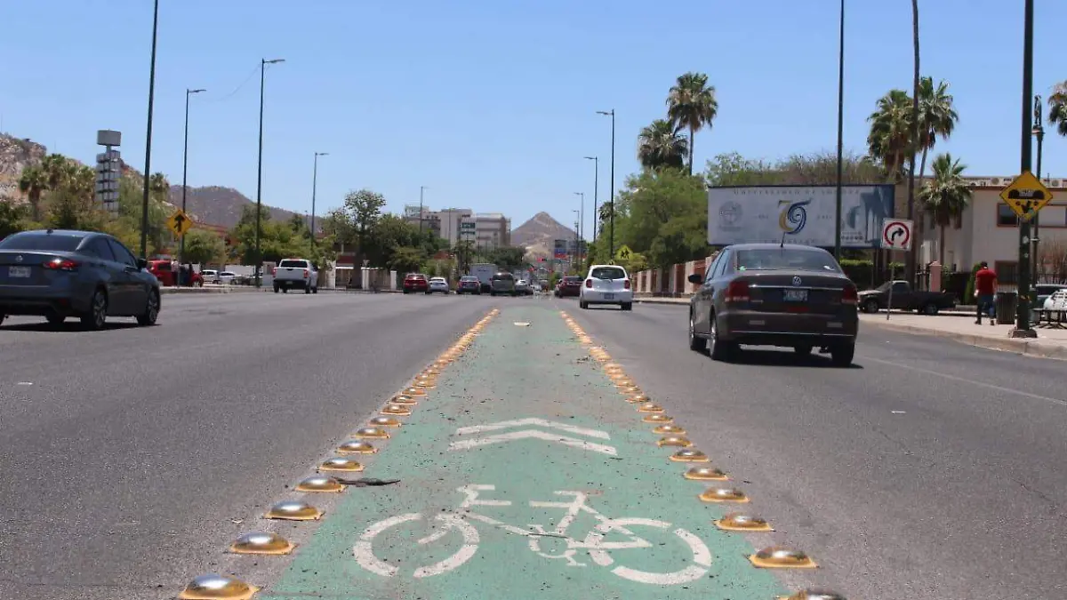 Retiran confibicis de la Calle Rosales (3)